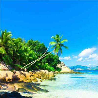 博鱼boyu体育官方网站